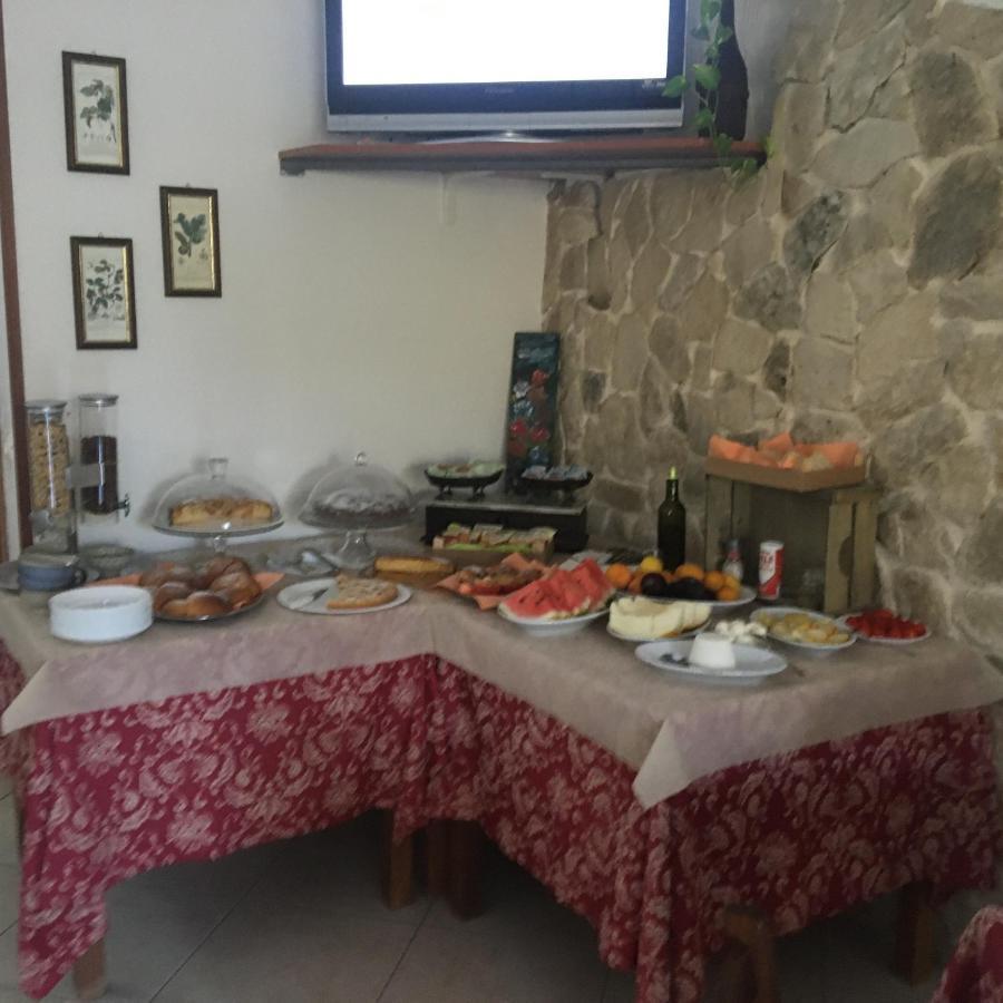 Azienda Agricola B&B Macchiaria Vieste Bagian luar foto