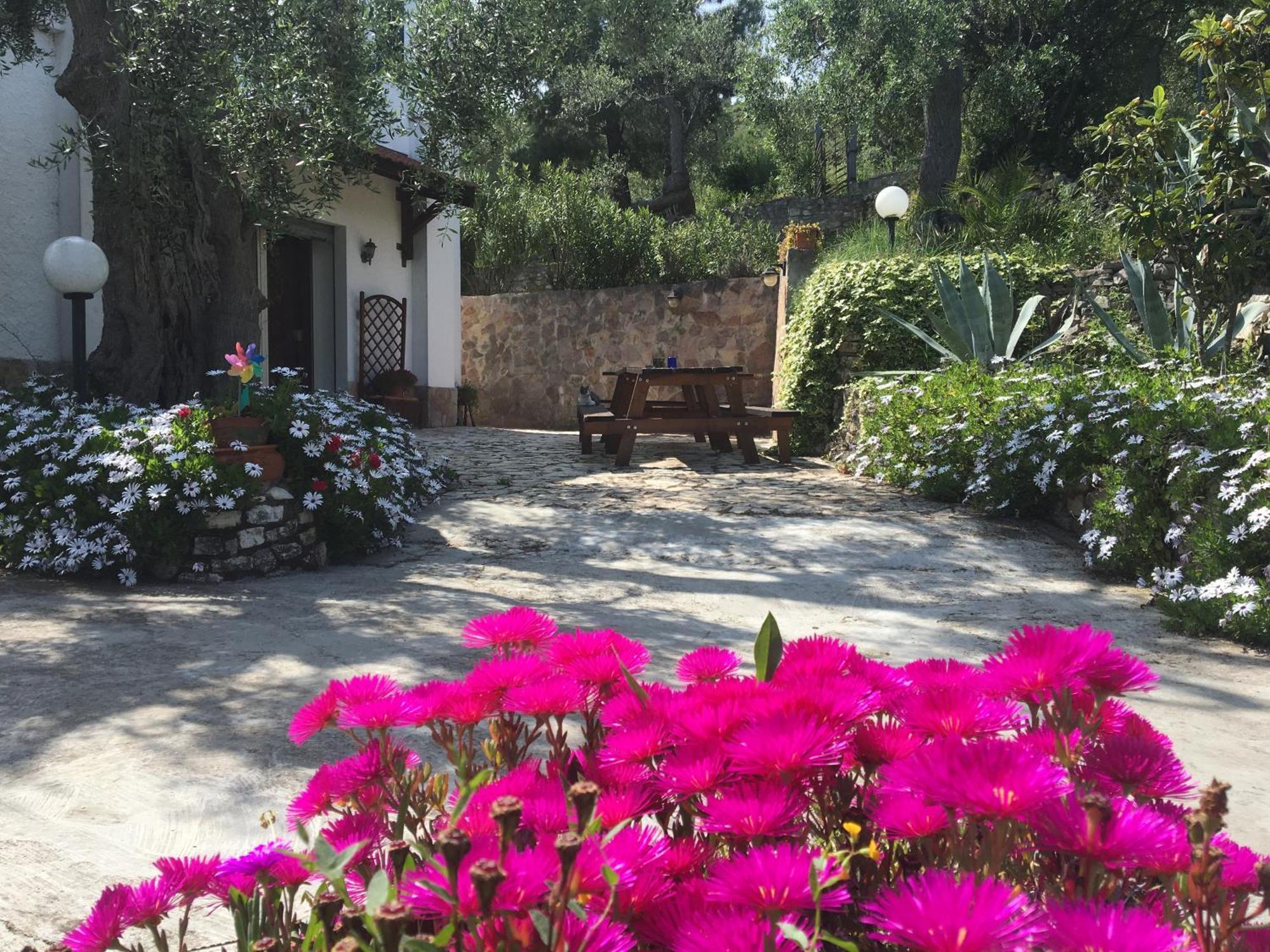 Azienda Agricola B&B Macchiaria Vieste Bagian luar foto