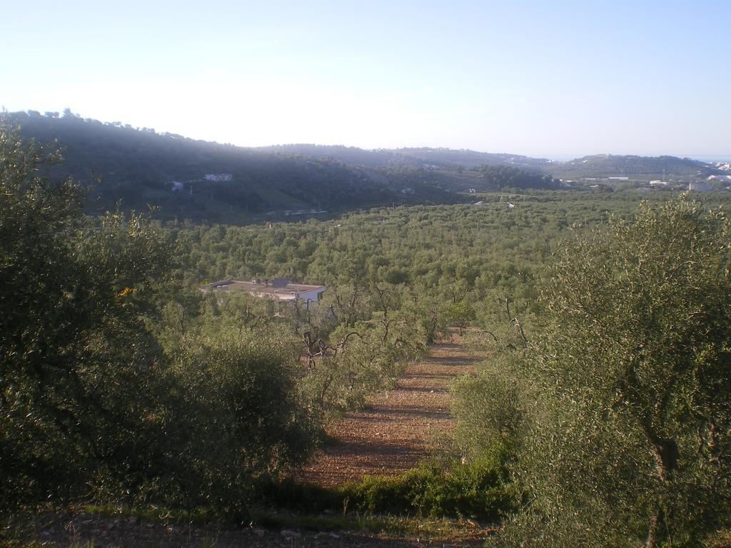 Azienda Agricola B&B Macchiaria Vieste Bagian luar foto