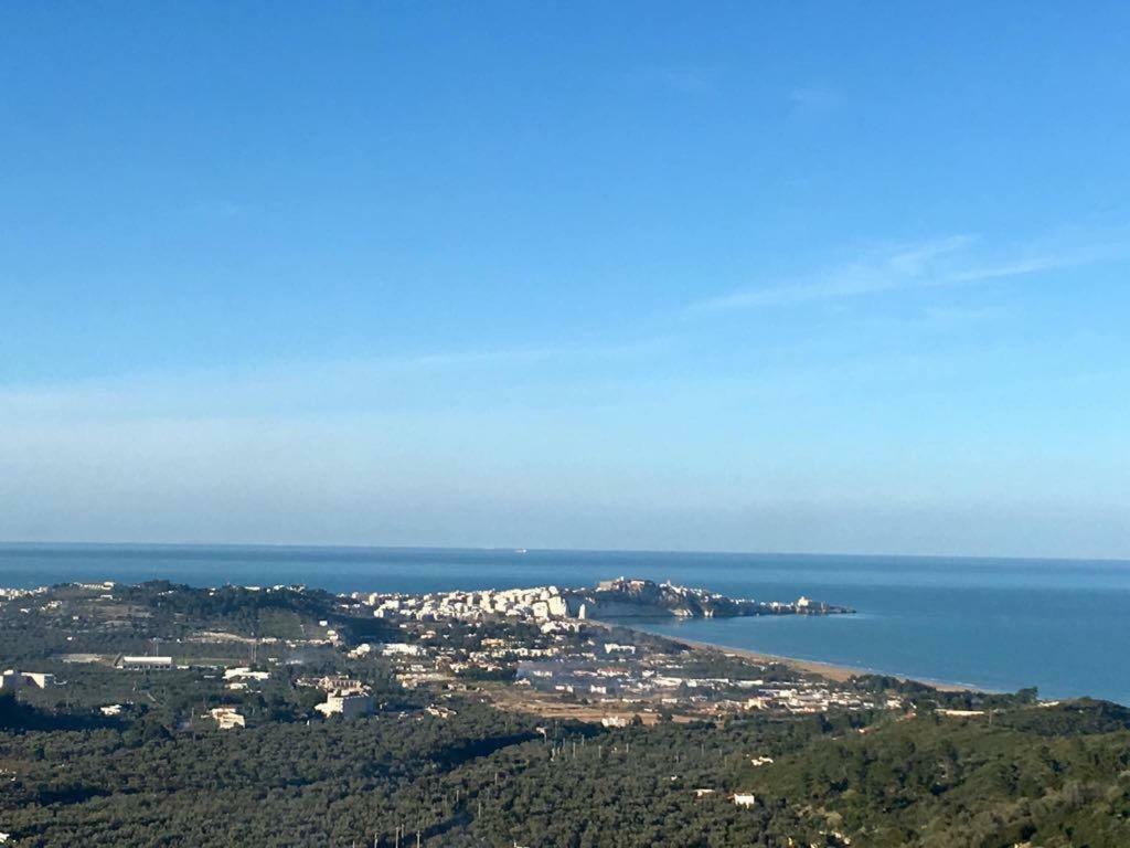 Azienda Agricola B&B Macchiaria Vieste Bagian luar foto