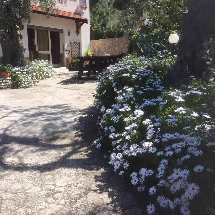 Azienda Agricola B&B Macchiaria Vieste Bagian luar foto
